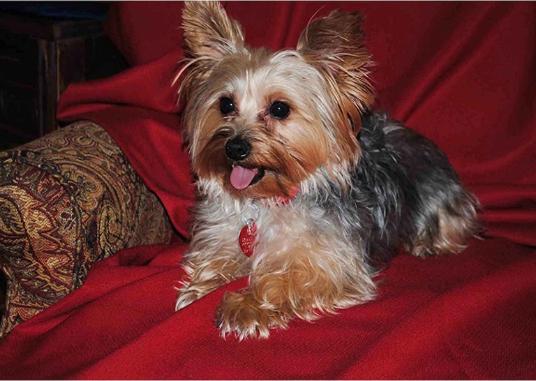 Asigned Subject In Class B By Lisa Laspino For Co Co Chanel OCT-2018.jpg